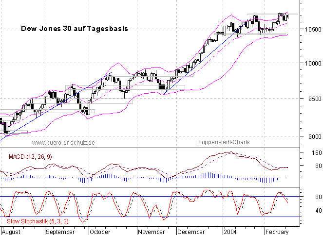 6-Monats-Tagescandles