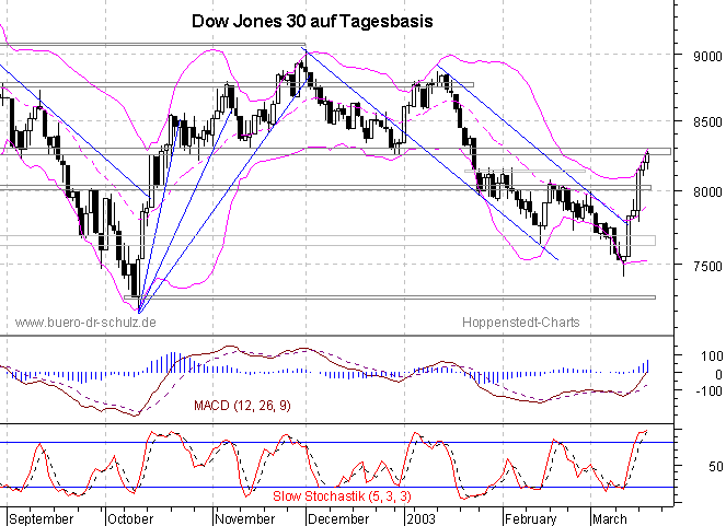 6-Monats-Tagescandles