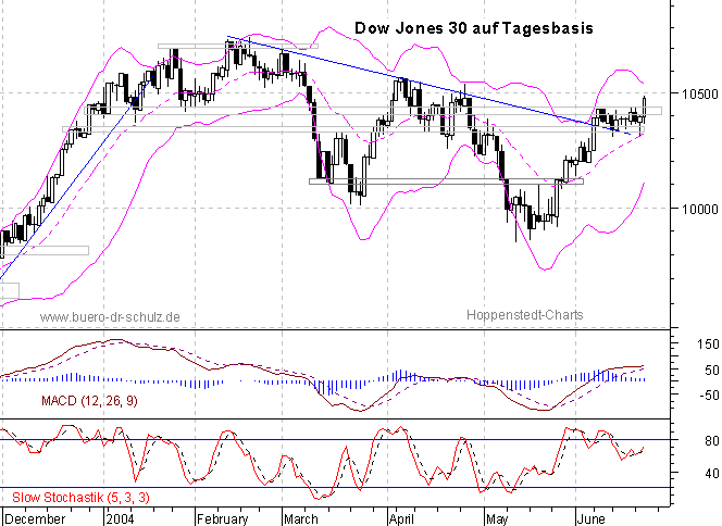 6-Monats-Tagescandles