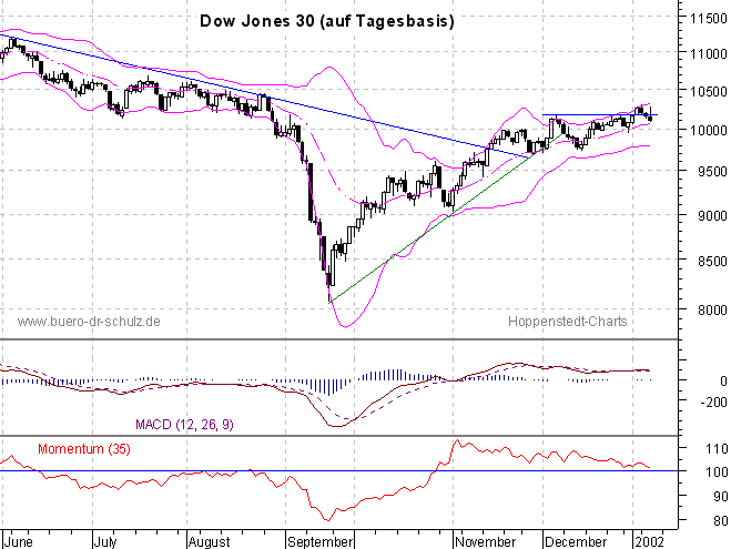 6-Monats-Tagescandles